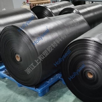 Hollyseal® Soft Microporous PVC Foam Raw Material
