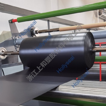 Hollyseal® Soft Microporous PVC Foam Raw Material
